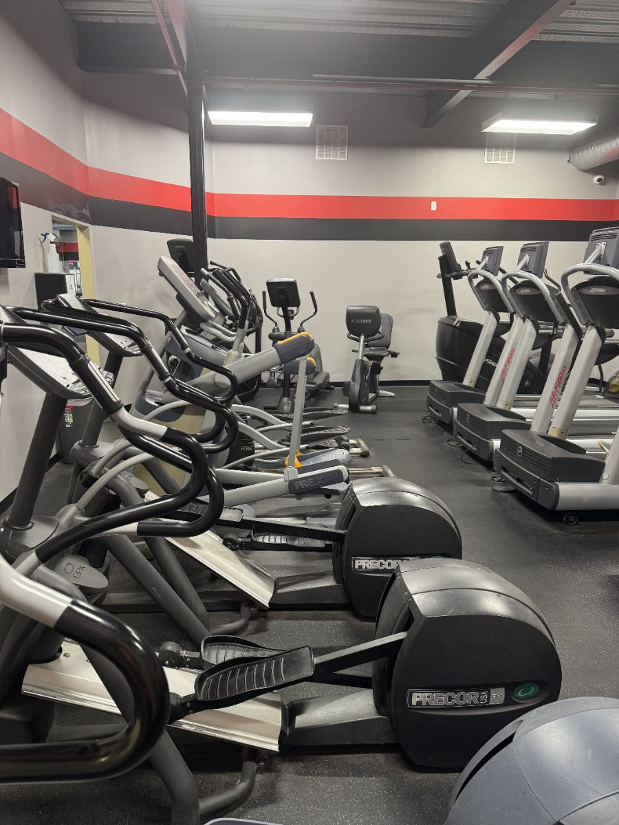 The cardio room: Precor ellipticals, Life Fitness treadmills and a recumbent bike