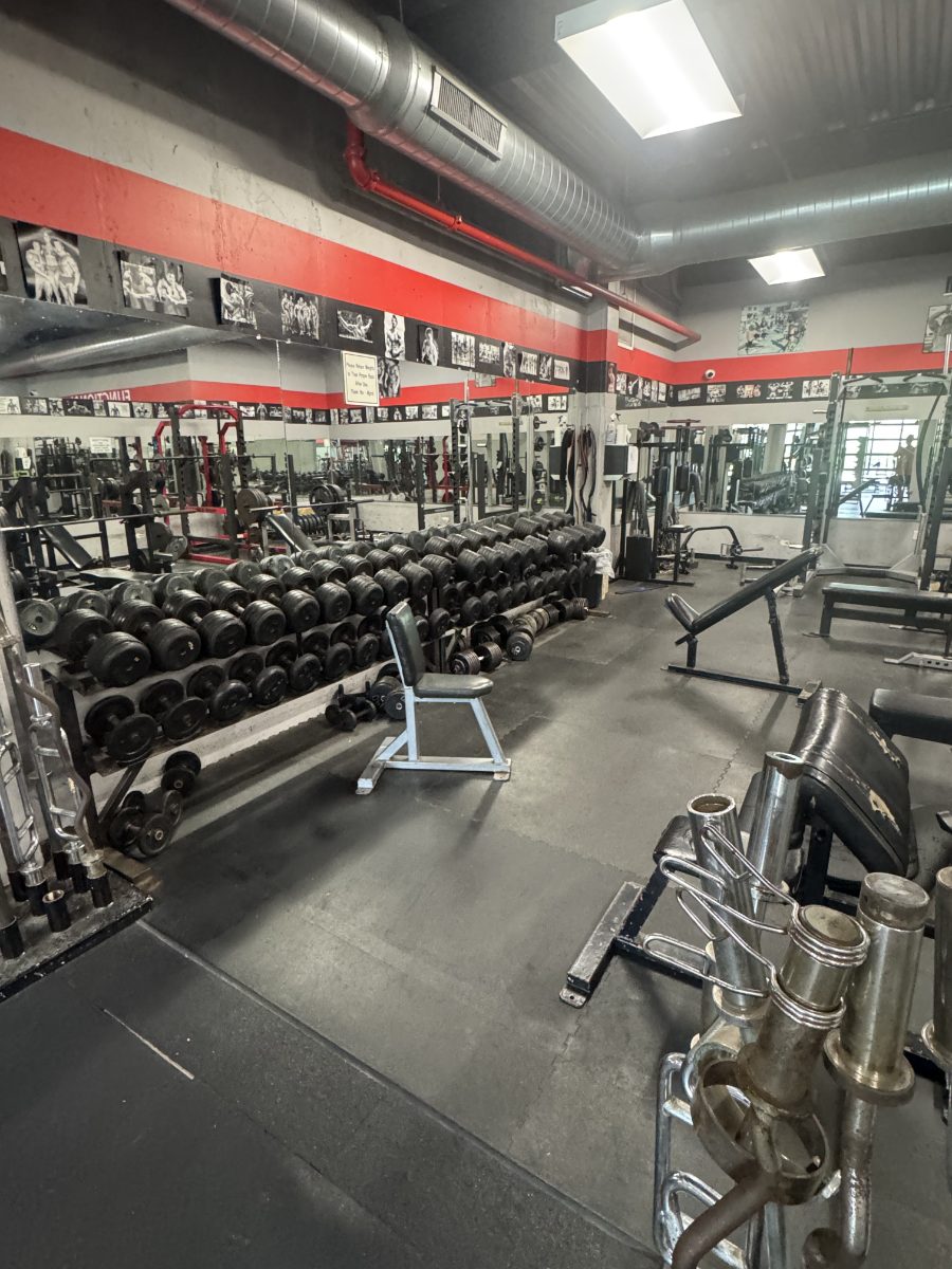 A full rack of dumbbells running the length of the mirrored wall