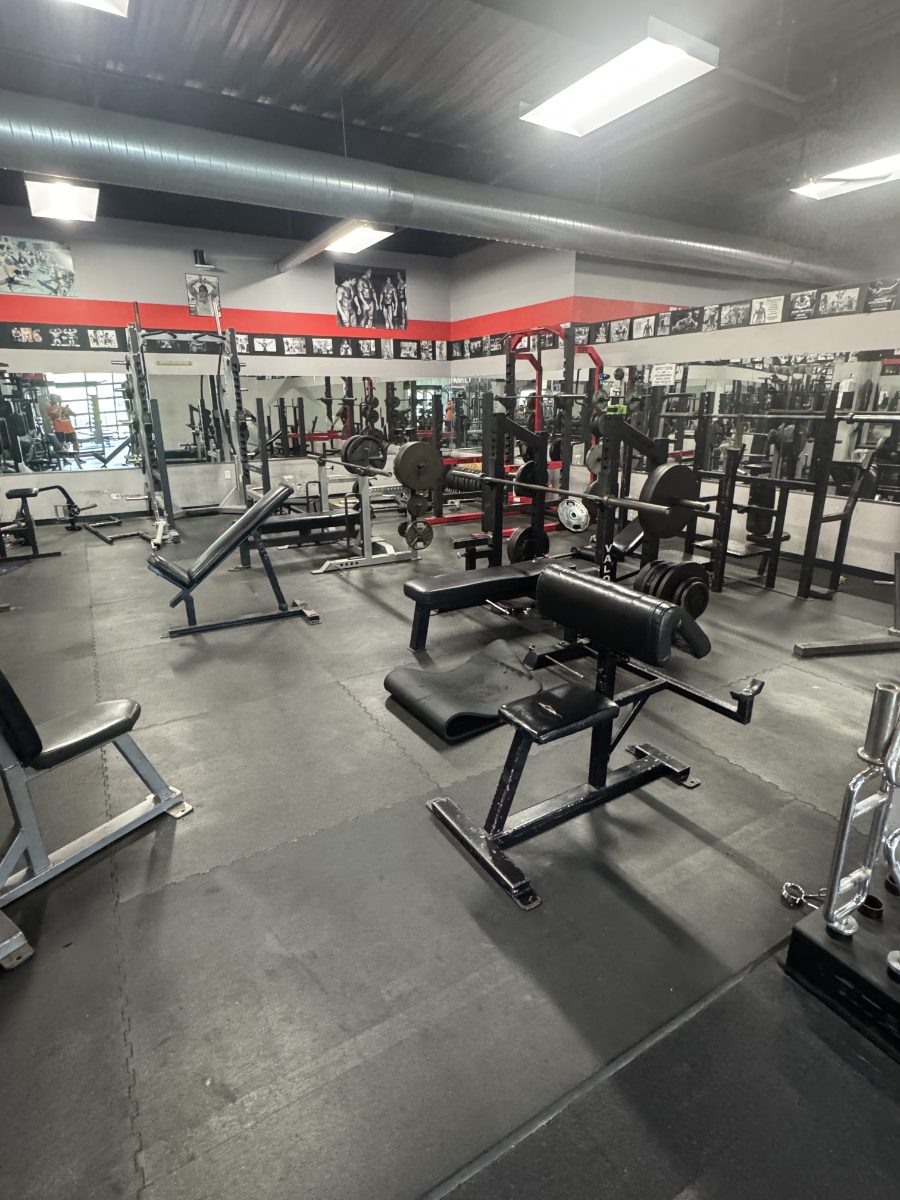The free-weight room: squat racks, benches and loaded barbells
