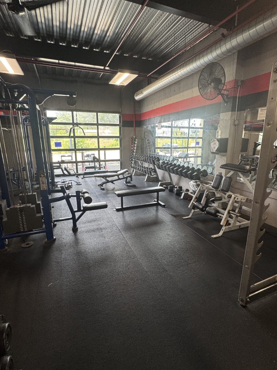 The front bay: dumbbells and benches under the big daylight windows