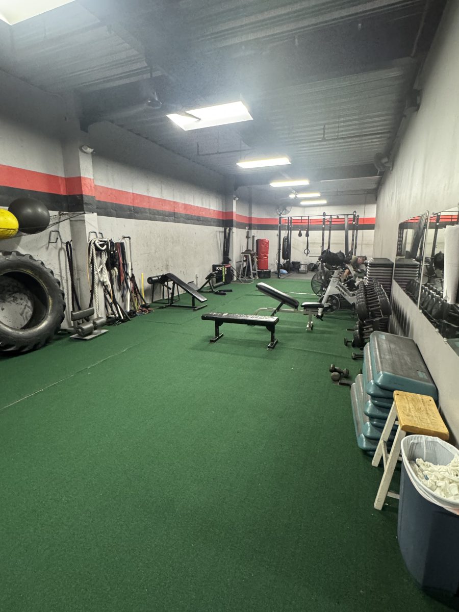 The turf floor: tire, battle ropes, sleds and adjustable benches